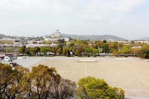 🌳 오테마에 공원 (오테마에 코엔) 이미지 4